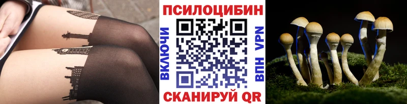 Купить Обоянь Псилоцибиновые грибы GOLDEN TEACHER